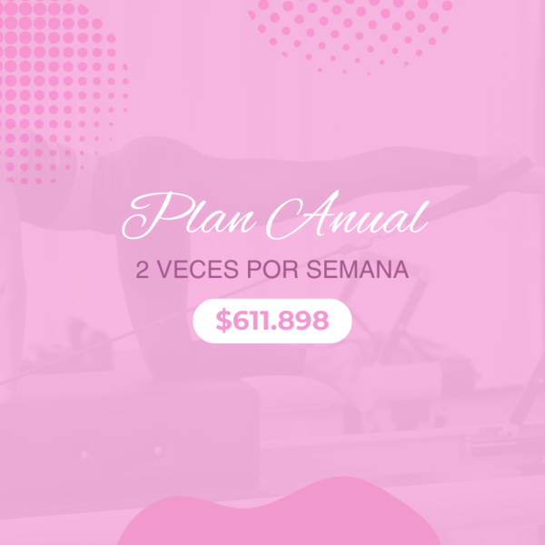 Plan Anual 2 veces por semana