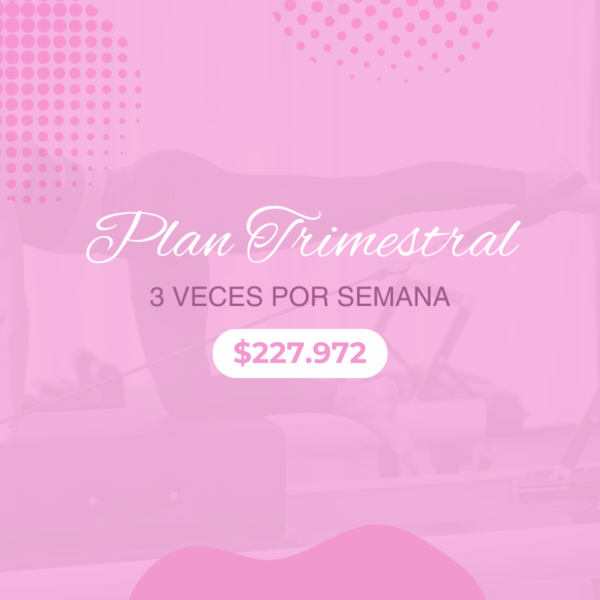 Plan Trimestral 3 veces por semana